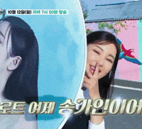 송가인 GIF