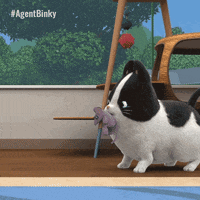 Cat Running GIF by Treehouse Direct