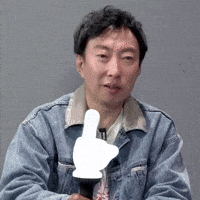 Fu Middle Finger GIF by Epik High