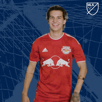 Stop It Red Bulls GIF by Major League Soccer