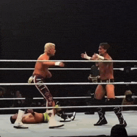 Cm Punk Wwe GIF
