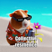 Wisdom Connection GIF by Guinea Gambino