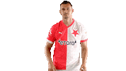 Football Soccer Sticker by SK Slavia Praha