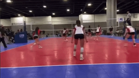 RevVolleyballAcademy giphygifmaker volleyball block rev GIF