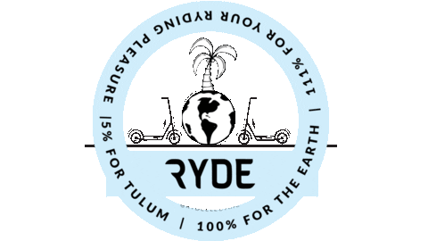 Fun Mexico Sticker by RydeElectric