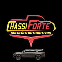 Car Racing GIF by Chassi Forte