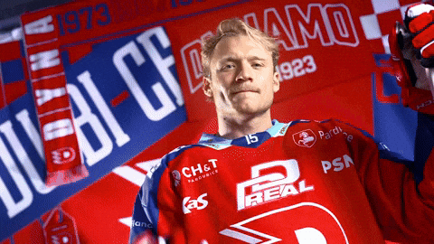 Hockeytown GIF by HC Dynamo Pardubice