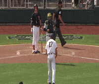 michigan baseball win GIF by Michigan Athletics