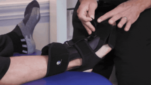 giphygifmaker GIF