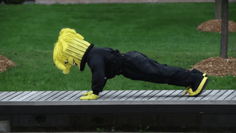 Wu_Shock giphyupload college wsu wu GIF