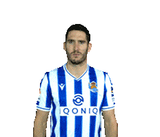 Realsociedad Zaldua Sticker by Real Sociedad de Fútbol