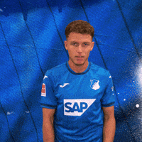 Dennis Geiger Sport GIF by TSG Hoffenheim