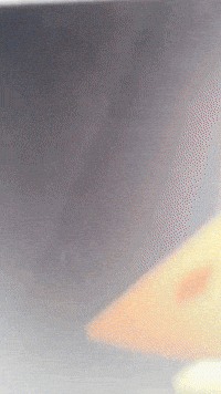 Scream GIF by Youtooz