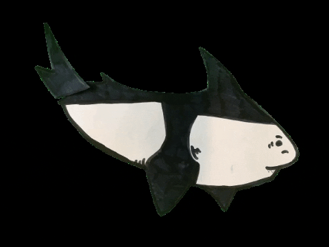 Jaimyvanoirschot GIF by Beam it Up