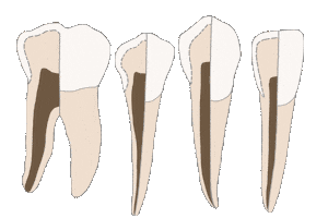Teeth Tooth Sticker