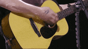Shawn Mendes GIF by Global Citizen