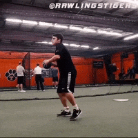 rawlingstigers baseball mlb rawlings rawlings tigers GIF