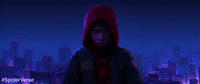 Spider-Man GIF by Spider-Man: Into The Spider-Verse