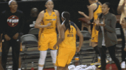 basketball sport GIF by Indiana Fever