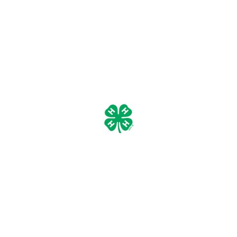 oklahomafourh giphyupload clover 4h 4-h Sticker