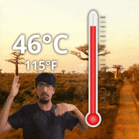 Forty Six Degrees GIF