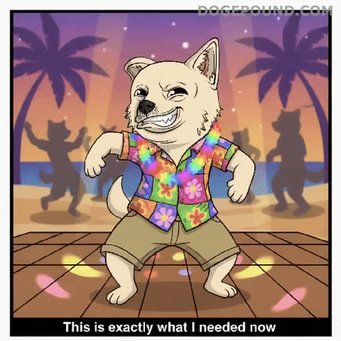 Happy Lets Go GIF by Doge Pound