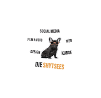 Wasserburg Rosenheim Sticker by Shytsee