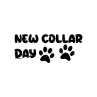 Dog Cats Sticker by Ancol Pet Products