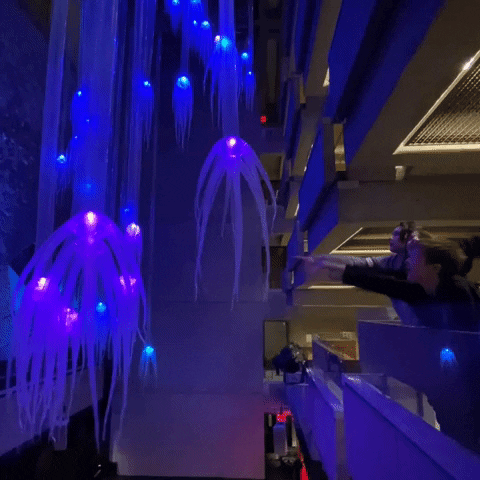pammypoppins  GIF