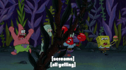 season 9 episode 24 GIF by SpongeBob SquarePants