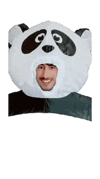 Panda Dancing Sticker