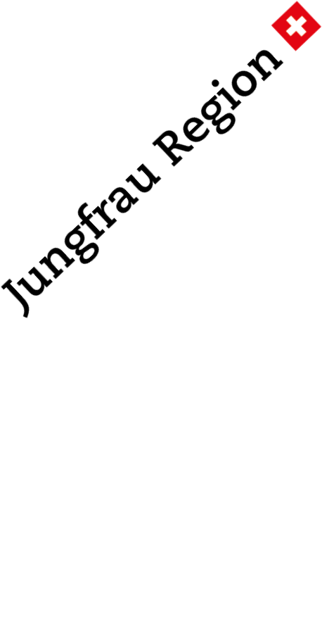 Arrow Swipe Up Sticker by Jungfrau Region