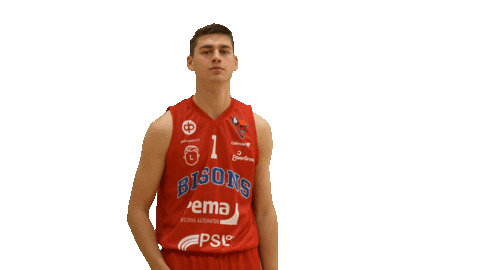 Basketball Player Sticker by Bisons