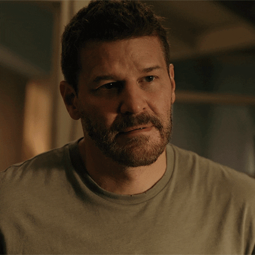 Sealteam Davidboreanaz GIF by Paramount+