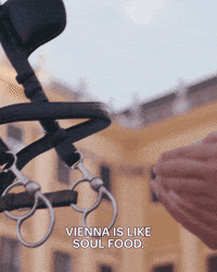 Food Eat GIF by ViennaTouristboard