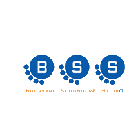 budavari_schonherz_studio bss bsstudio budavarischonherzstudio Sticker