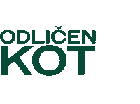 Drink Whiskey Sticker by Pernod Ricard Slovenia