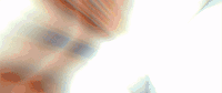 coachella GIF by NEW CITY