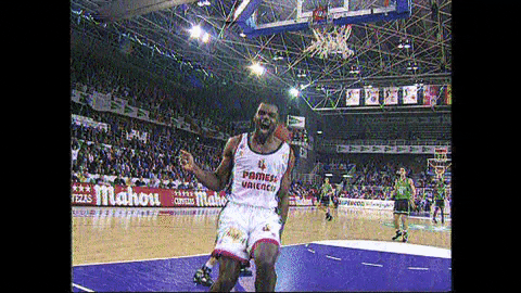 liga endesa basketball GIF by ACB