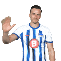 Football Hallo Sticker by Hertha BSC