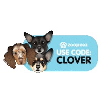Double Trouble Clover Duo Sticker by zoopeez