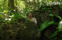 Luke Creepin&#39; GIF by Australian Survivor