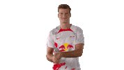 Happy Football Sticker by RB Leipzig