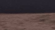 Dance Reaction GIF by Grace Ives