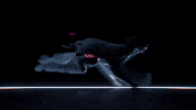 dog 3d GIF by alessiodevecchi