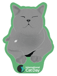 icatcare cat kitty happycat greycat Sticker