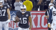 Regular Season Football GIF by NFL