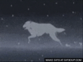 kiba GIF