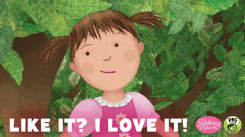 excited love it GIF by PBS KIDS