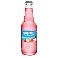 Seltzer Seagrams Sticker by Seagram's Escapes